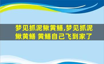 梦见抓泥鳅黄鳝,梦见抓泥鳅黄鳝 黄鳝自己飞到家了